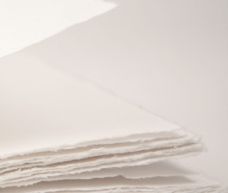 ¿Sabías que el algodón se encuentra también en tu papel?